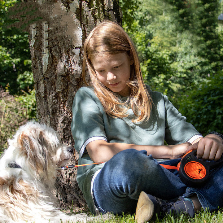 Orange Automatic Dog Walking Pet Leash