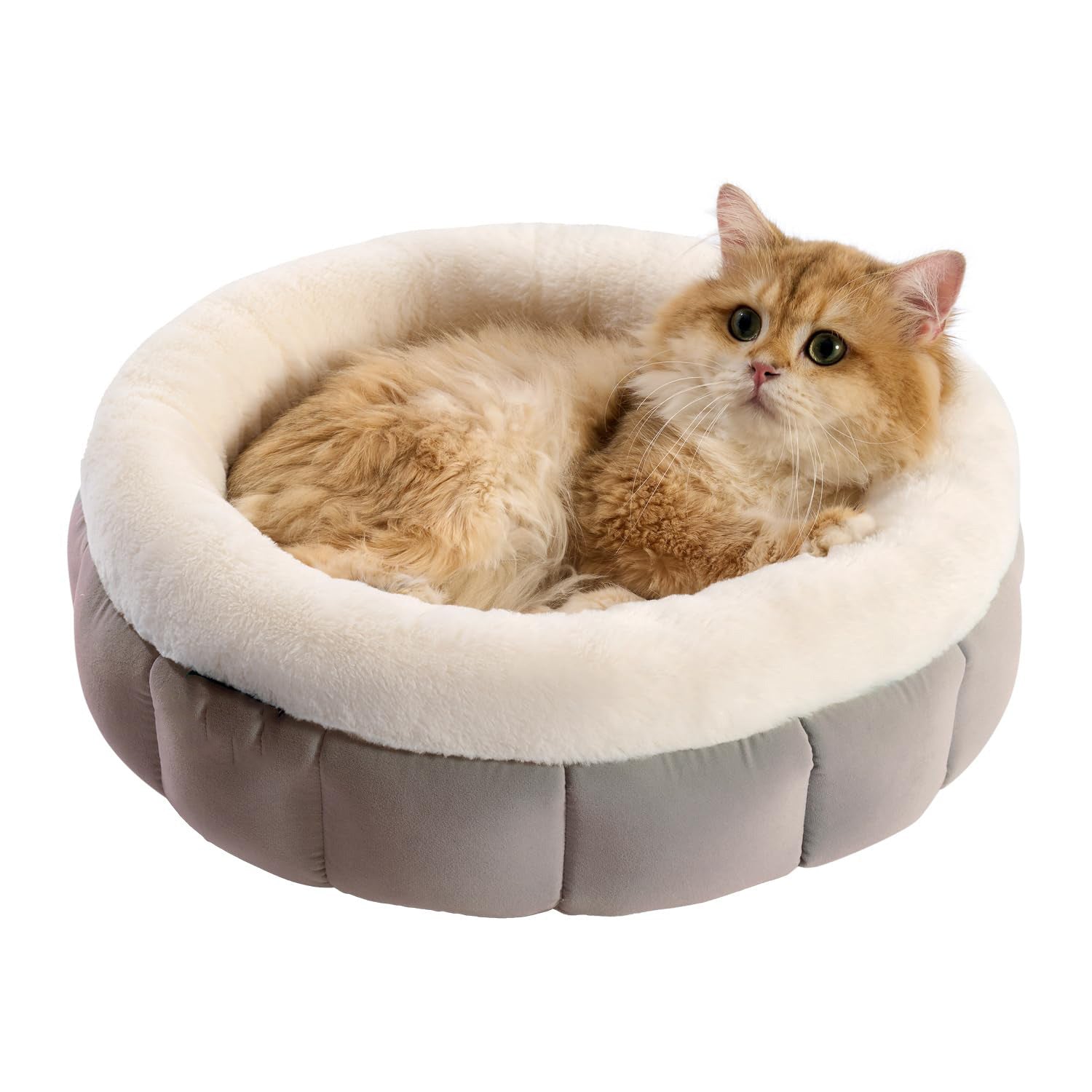 Donut Dog Beds For Small Dogs - Round Cat Beds