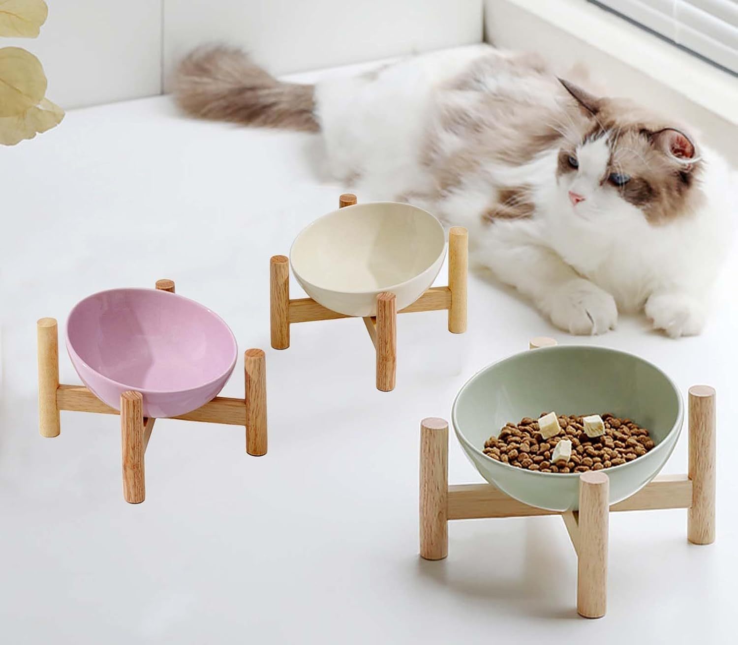 Elevated Raised Bowl For Indoor Cats