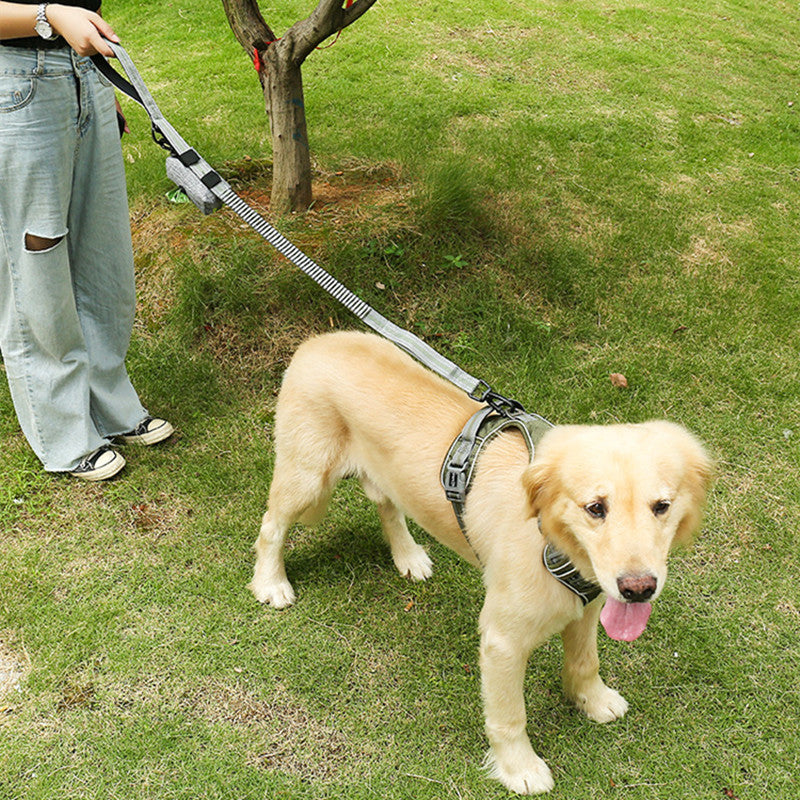 Punch Elastic Retractable Dog Leash